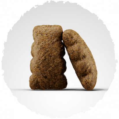 SENSIPLUS σύνθεση