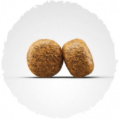 BALANCE σύνθεση