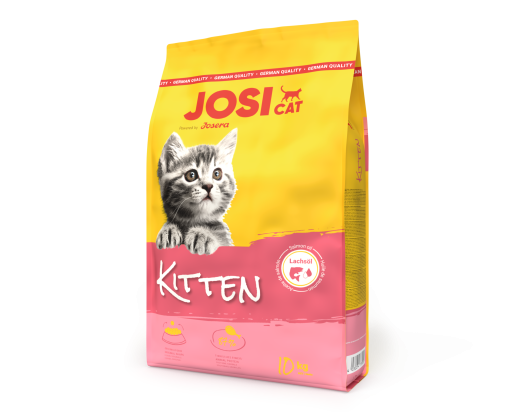 JOSICAT KITTEN