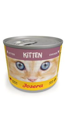 Kitten Chicken wet