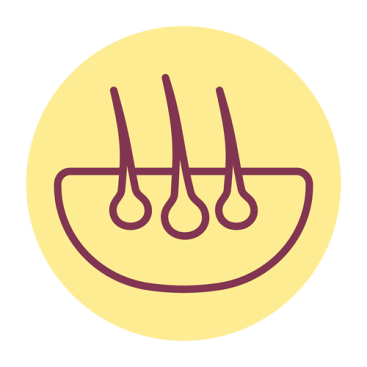 Δέρμα και τρίχωμα